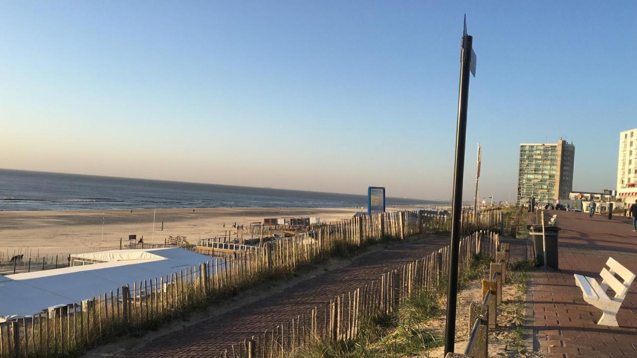 Beachstudio De Schelp Lejlighed Zandvoort Eksteriør billede