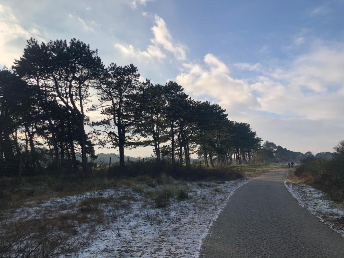 Beachstudio De Schelp Lejlighed Zandvoort Eksteriør billede