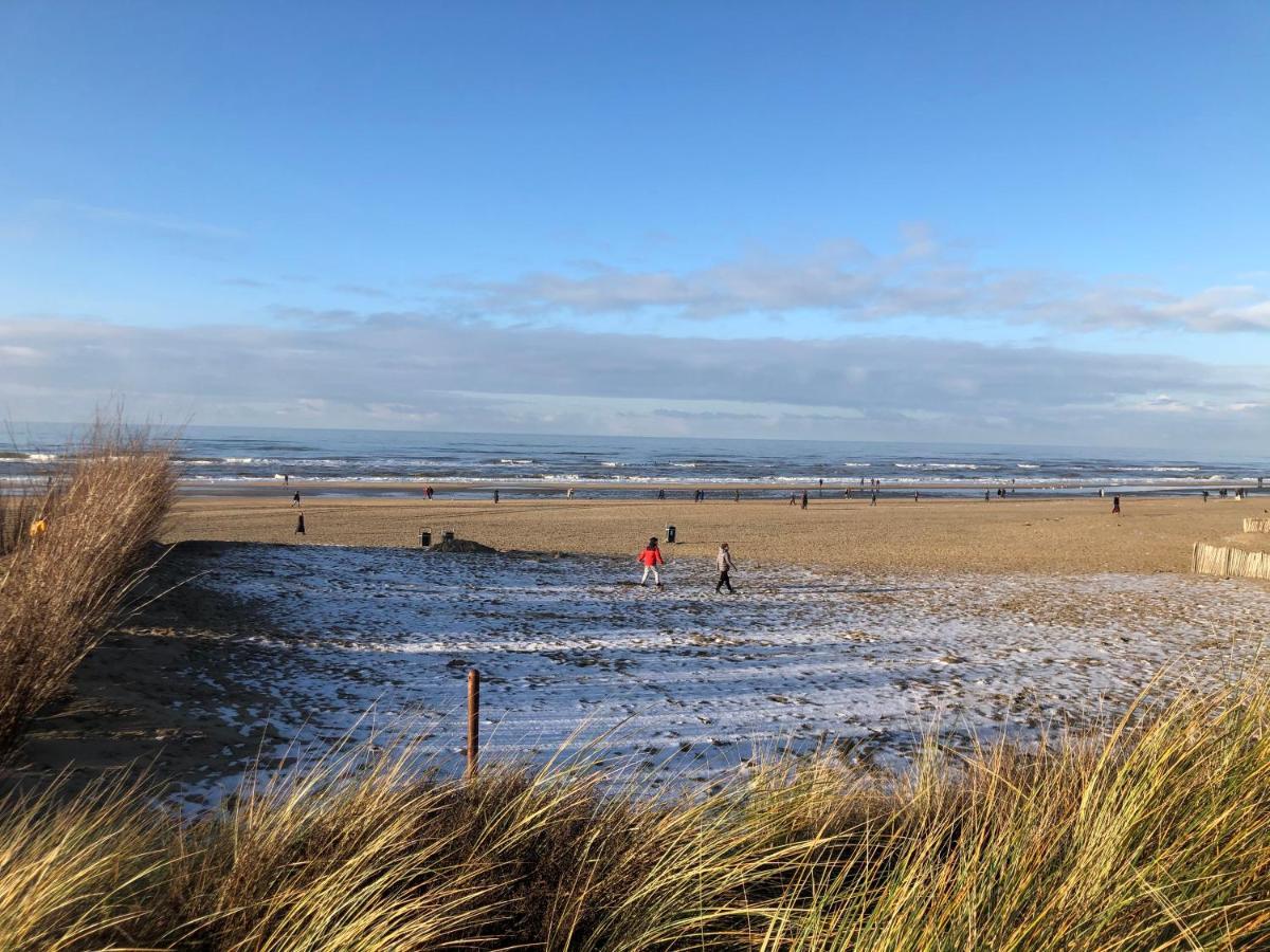 Beachstudio De Schelp Lejlighed Zandvoort Eksteriør billede
