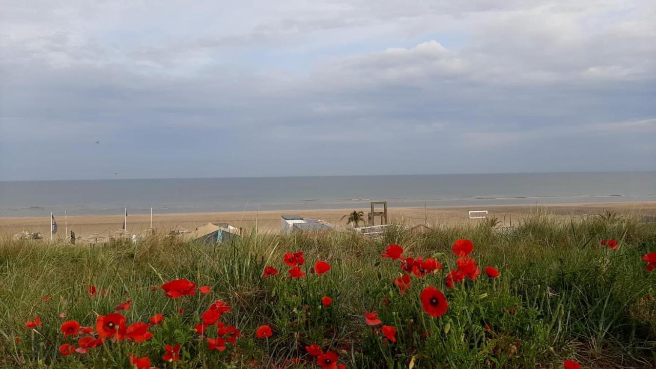Beachstudio De Schelp Lejlighed Zandvoort Eksteriør billede